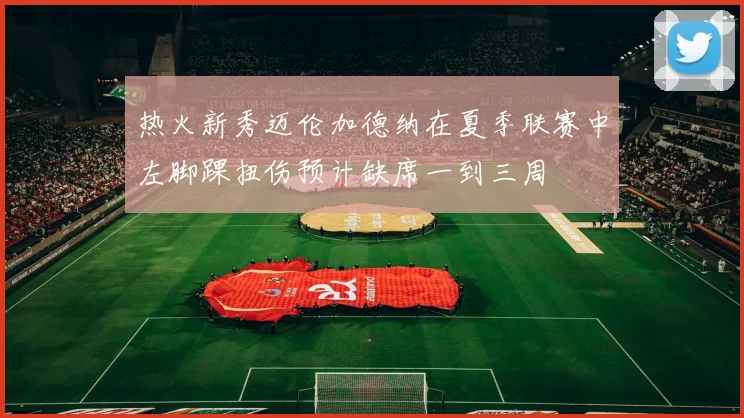 热火新秀迈伦加德纳在夏季联赛中左脚踝扭伤预计缺席一到三周